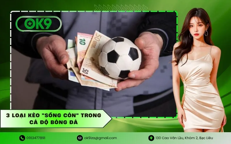 3 Loại kèo Sống còn trong cá độ bóng đá