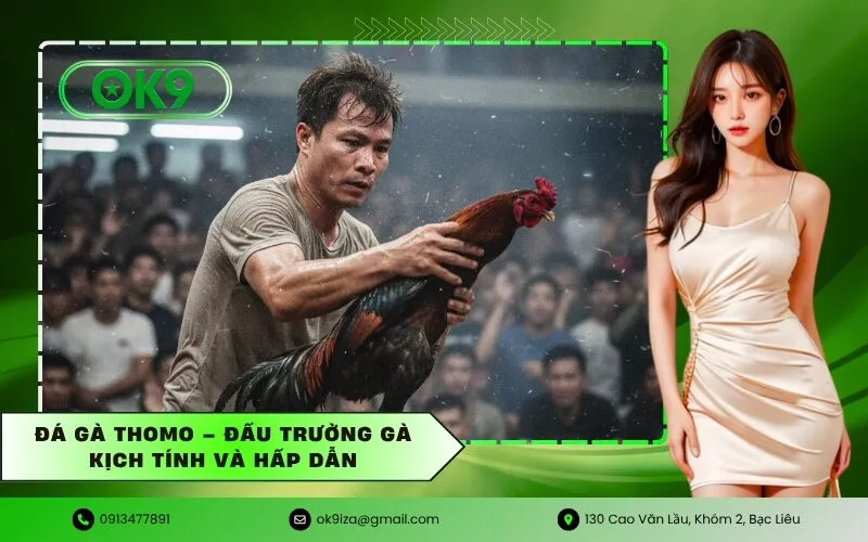 Đá gà Thomo