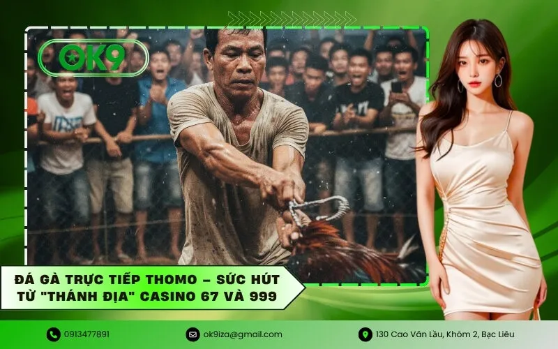 Đá gà trực tiếp Thomo – Sức hút từ Thánh địa Casino 67 và 999
