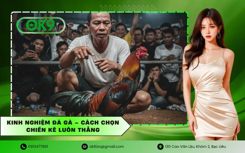 Kinh nghiệm đá gà