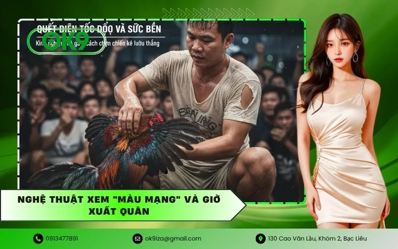 Nghệ thuật xem Màu Mạng và Giờ xuất quân