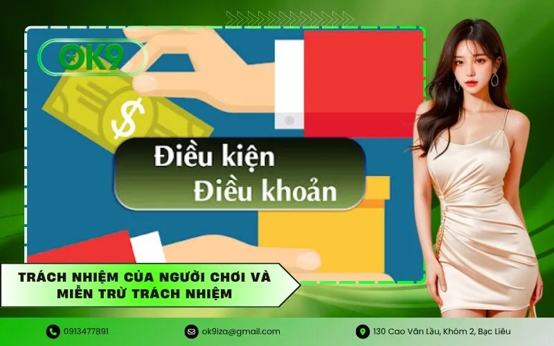 Trách nhiệm của người chơi và miễn trừ trách nhiệm